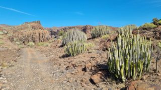 2024-02-GranCan-Playa Del Aguila-Trek-34.jpg